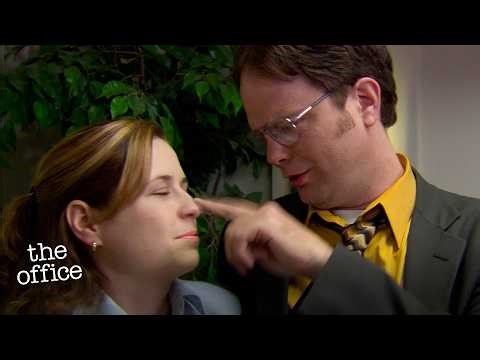 The Office BUT Pam & Dwight Are Becoming Best Friends