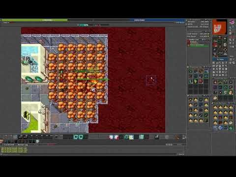 Welcome to another episode, today's solo of a demonic creature, the power of royal stars. TIBIA