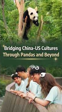 Bridging China-US cultures through pandas and beyond
