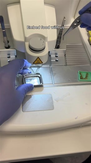 Let’s do some embedding! We recently processed a bunch of new things to see what they look like under the microscope. Today we have pineapple, baloney, imitation crab, strawberry, and pepperoni! Embedded on our Histodream EW embedding center: built for comfort, modularity and flexibility at embedding. Want more info? Message us today! #Histology #Pathology #TissueProcessing #FoodScience #Microtomy