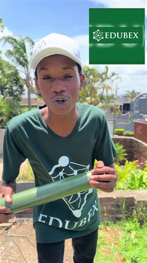 Study Online with Edubex - No Exams Required