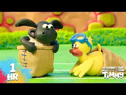 ✨ TIMMY TIME: FUN ENGLISH CLASS! | 1 HOUR COMPILATION | KIDS SHOW
