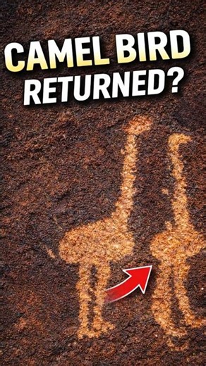 The 'Camel Bird' Returns to Saudi Arabia After 100 Years! 🐦