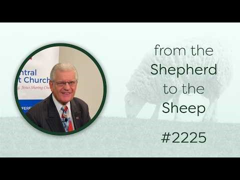 From the Shepherd to the Sheep - #2225 - CBC