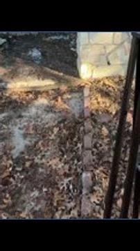 NE neighbors: Long-abandoned house burns, transformer explodes