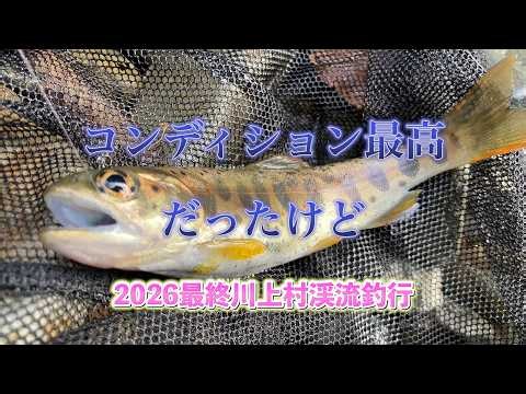 【渓流釣り】2026年ラスト！川上村でのアマゴ釣り。