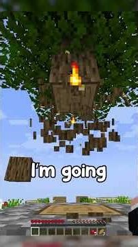 Minecraft, But You Can’t Touch a Random Color…