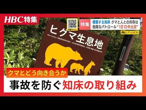 【ヒグマSOS】20代男性襲われた死亡事故から1年…知床で続くヒグマ対策の葛藤 相次ぐ登山道閉鎖、保護と安全のはざまで揺れる現場