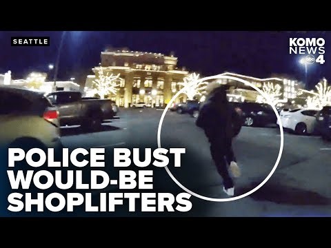Seattle police bust attempted shoplifters at University Village in holiday retail theft