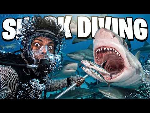 iShowSpeed Goes SHARK DIVING In The Bahamas!