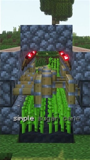 The Easiest Automatic Sugar Cane Farm in Minecraft