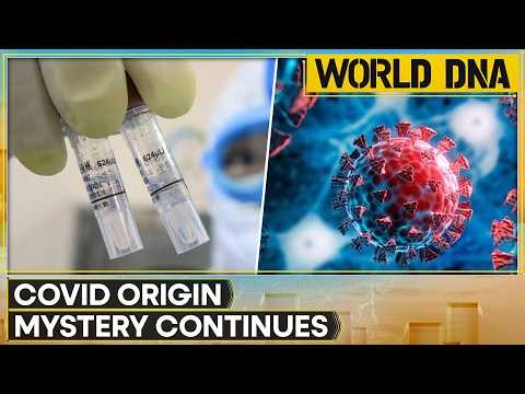 COVID Origins Mystery Gets New Twist After Fauci Adviser Guilty Plea | World DNA