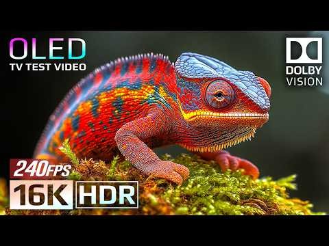 The Most Spectacular OLED Demo In 16K HDR 240fps - Dolby Vision (For 8K4K TV)