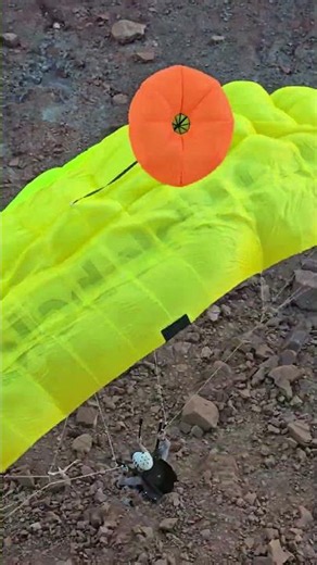 An epic BASE jump in Moab Utah! New angle #youtubeshorts #travel #skydiving #moab #adventure #crazy