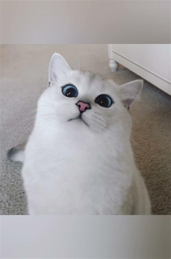 AI, AI-generated, AI content