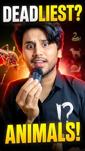 Top 5 Deadliest Animals for Humans!