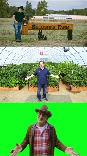 🎶🚜💨 Jim Belushi on Belushi's Farm in Growing Belushi #danaykroyd #growingbelushi #jimbelushi #farmer