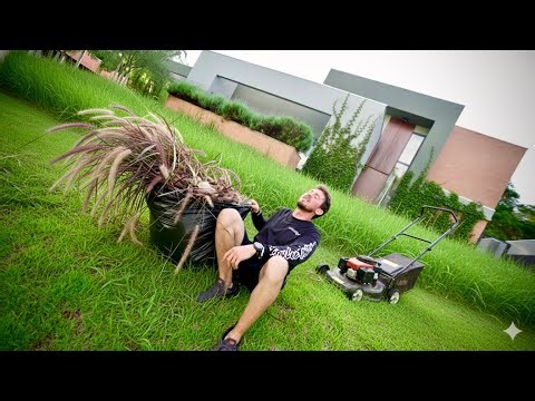 EU TO EXAUSTO DE TANTO CORTAR A GRAMA DE CASA