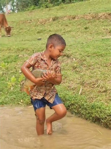 Amazing Traditional Boy Fish Catching By Hand