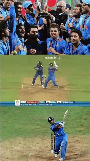 2011 world cup final