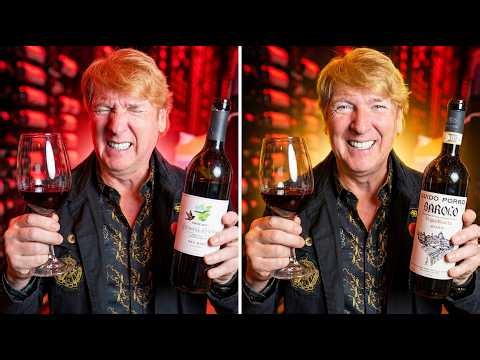 Does More Expensive Wine REALLY Taste Better?