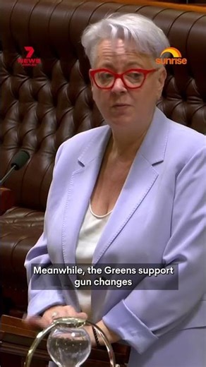 New gun and protest laws pass NSW parliament overnight