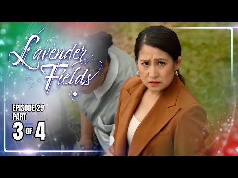 Lavender Fields | Episode 29 (3/4) | January 2, 2026