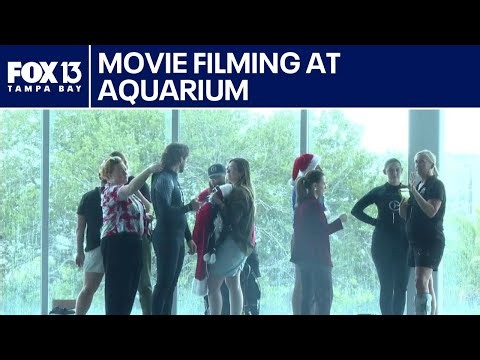 Holiday movie filming at Clearwater Marine Aquarium