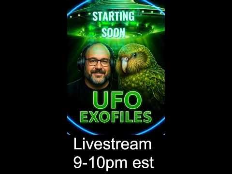 UFOs in the Last 24 Hours: Real Sightings or Just Sky Noise?" (Portrait)