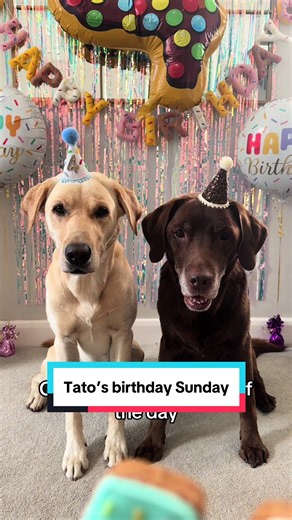 Tato's Birthday Sunday: A Day of Bikes, Biscuits & Cake!