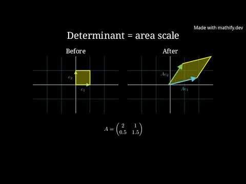 Area Scaling & Orientation Flipping in Linear Transformations #MathifyCommunityClips