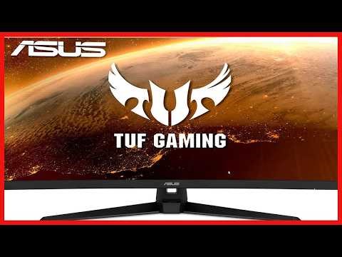 ASUS 31.5-inch WQHD 165Hz Gaming Monitor Review: Smooth Performance Meets Sharp Visuals