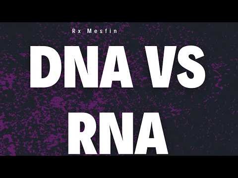 DNA vs RNA Explained | Genetic Material in Bacteria, Viruses & Fungi (Microbiology Made Easy)