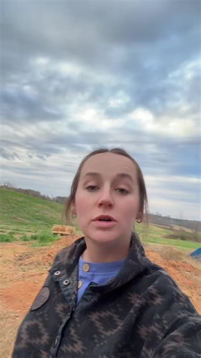 Enjoying a Relaxing Farm Break with Horses