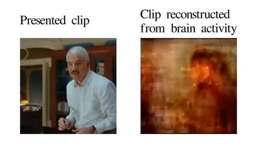 Mental imagination reconstructed from Brain activity using fMRI