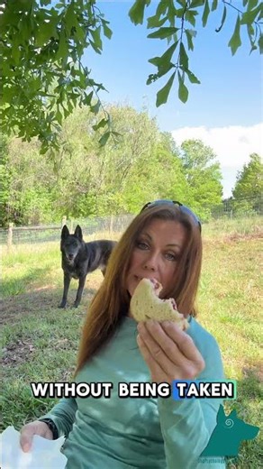 On the ground with my PB&J! The Bubble Game #dogpsychology101