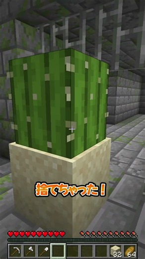 Cactus Was the Strongest All Along #Minecraft #Minecraft