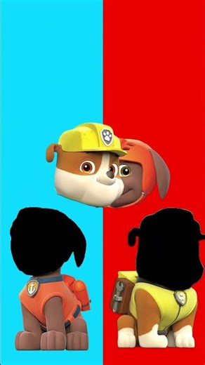Wrong Eyes👀 PAW Patrol Chase Is On the Case Rescues!/ Skye & Marshall | DAME TU COSITA Wrong Heads