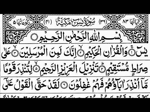 Surah Yaseen Live 🕌💚| quran tilawat | surah rahman | Episode 701 | daily quran tilawat | surah yasin