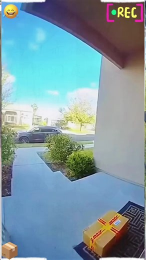 Porch exploding package box with glitter🏳️‍🌈✨🦄#porchpiratecaught #glitter #package #prank #fyp