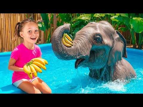 What Do Animals Eat? Zoo Food Box Adventure
