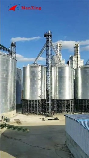 10,000-Ton Grain Steel Silos | Proven Design & Construction Solutions by MANXING