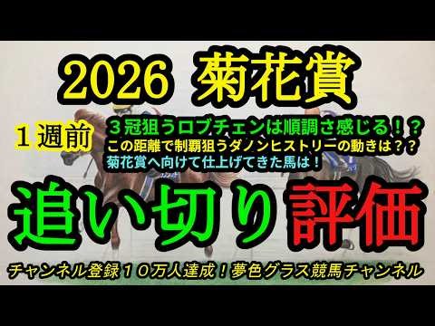 【1週前追い切り評価】2026菊花賞！3冠目指すロブチェンはここまで万全！？仕上がりが良さそうな馬は？