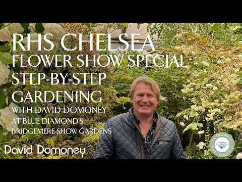 RHS Chelsea Flower Show | Step-by-Step Gardening at Blue Diamond's Bridgemere Show Gardens | Ep 14
