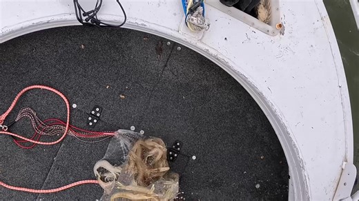 Nearly Prawning 🦐 time - so a few cast netting tips We are about a month away from the banana prawns reaching a suitable size and schooling up so here in SE QLD. So here are a few tips on how to catch them if you haven’t tried. My casting technique, while not perfect is super fast, simple and easy on your back especially if you have had back problems/surgery like me. A few other tips: 🦐 look for them in deep holes around the change of tide 🦐 top pocket only nets are best to avoid baitfish and