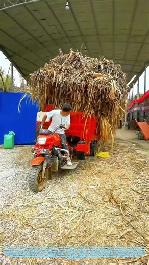 Unloading the Field: The Simple Mechanics Behind Livestock Fuel