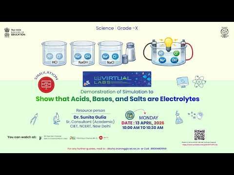 Demonstration of Simulation to Show that Acids, Bases, and Salts are Electrolytes