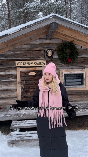 Meet real reindeer in Finland, Santa’s home country! 🦌 As you can see, they don’t fly, but roam free in the northern nature. They’re semi-domesticated, and every reindeer is owned by a real herder (not just Santa!). In Lapland, you might spot reindeer almost everywhere, from forest to road side to your hotel backyard. You can visit them in local reindeer farms and try a reindeer sleigh ride, too. Want to see real reindeer? Just visit Finland! 🇫🇮 #VisitFinland #TheRealWinter #WinterHoliday #Fi