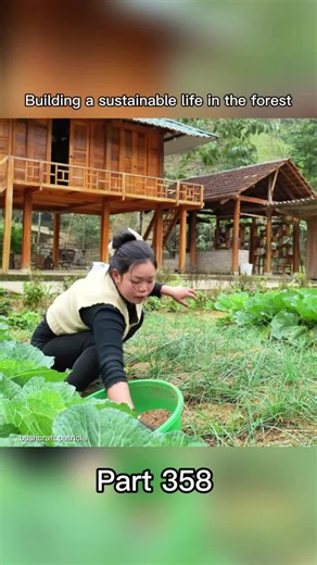 Part 358 - Daily life on the farm - Harvesting vegetables to sell and taking care of livestock #farmlife #bushcraft #build #harvest #garden