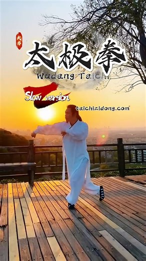 Tai Chi helps you relax your body and mind and become one with nature. Exercise tai chi daily fully remove root causes and Improve symptoms. Follow for more useful and healthy tai chi practices. Tai chi beauty👊👍😎🥰😍 #taichi #wudang #wudangkungfu #wudangtaiji #太极 #relax #relaxation #chineseculture #fyp #foryou #TCM #health #exercise #healthylifestyle #fiveelements #qigong #exercisetips #fitnessmotivation #WellnessJourney #fitnessinspiration | Tai Chi Online